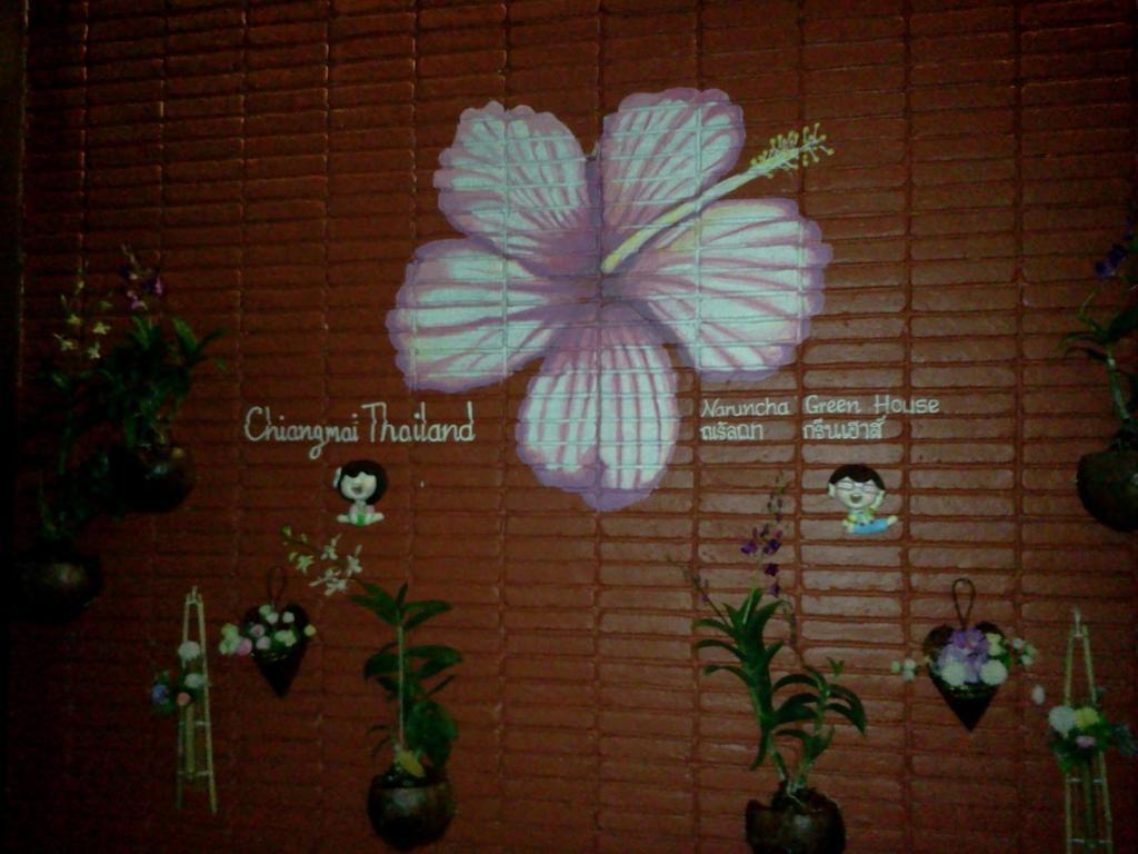 Naruncha Green House Čiang Mai Exteriér fotografie